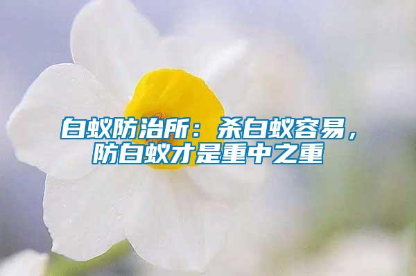 白蟻防治所：殺白蟻容易，防白蟻才是重中之重
