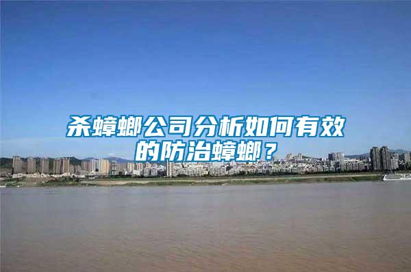殺蟑螂公司分析如何有效的防治蟑螂？