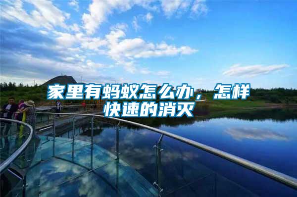 家里有螞蟻怎么辦，怎樣快速的消滅