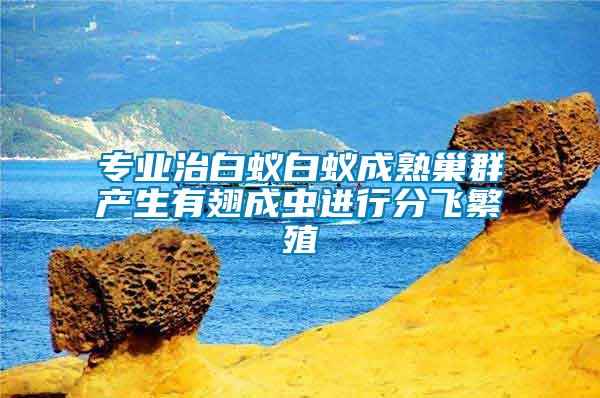 專(zhuān)業(yè)治白蟻白蟻成熟巢群產(chǎn)生有翅成蟲(chóng)進(jìn)行分飛繁殖