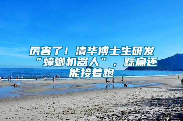厲害了！清華博士生研發(fā)“蟑螂機器人”，踩扁還能接著跑