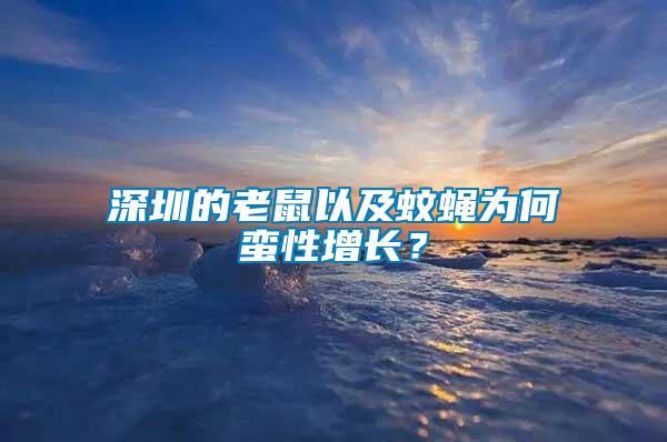 深圳的老鼠以及蚊蠅為何蠻性增長？