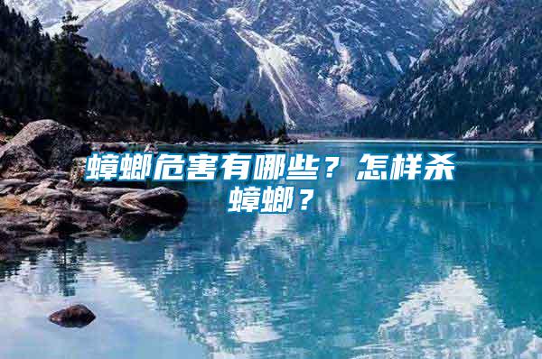 蟑螂危害有哪些？怎樣殺蟑螂？