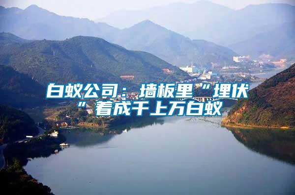 白蟻公司：墻板里“埋伏”著成千上萬(wàn)白蟻