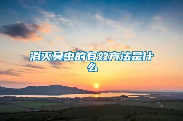 消滅臭蟲(chóng)的有效方法是什么