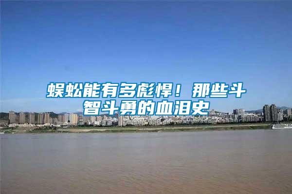 蜈蚣能有多彪悍！那些斗智斗勇的血淚史