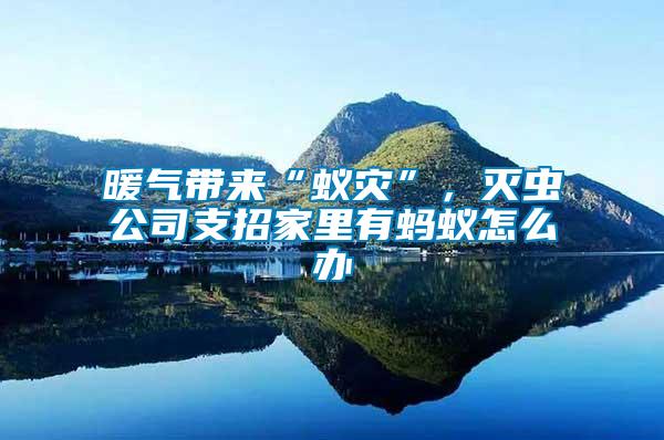 暖氣帶來“蟻災(zāi)”，滅蟲公司支招家里有螞蟻怎么辦