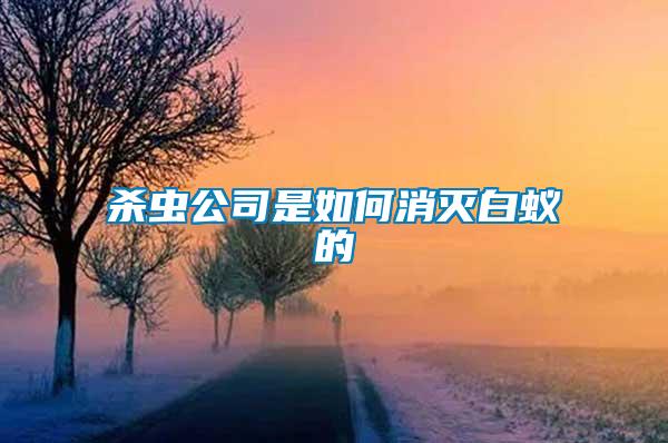 殺蟲(chóng)公司是如何消滅白蟻的