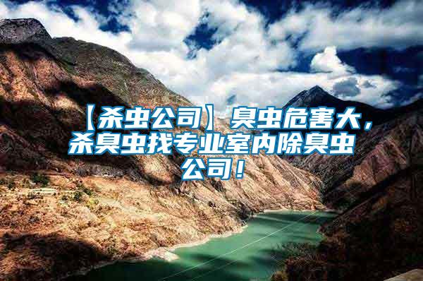 【殺蟲公司】臭蟲危害大，殺臭蟲找專業(yè)室內(nèi)除臭蟲公司！