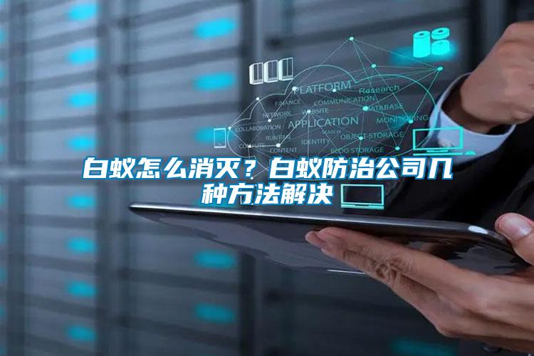 白蟻怎么消滅？白蟻防治公司幾種方法解決