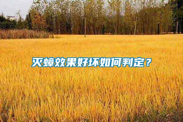 滅蟑效果好壞如何判定？