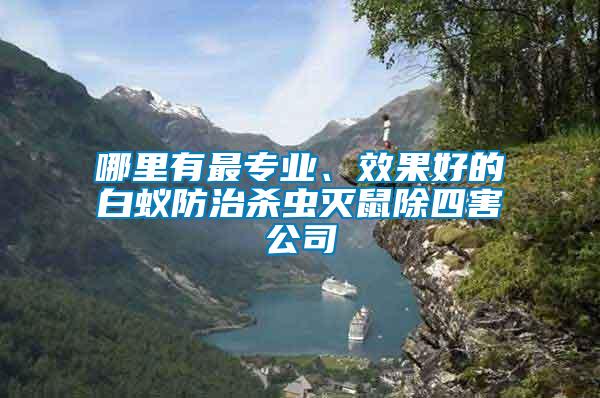 哪里有最專(zhuān)業(yè)、效果好的白蟻防治殺蟲(chóng)滅鼠除四害公司