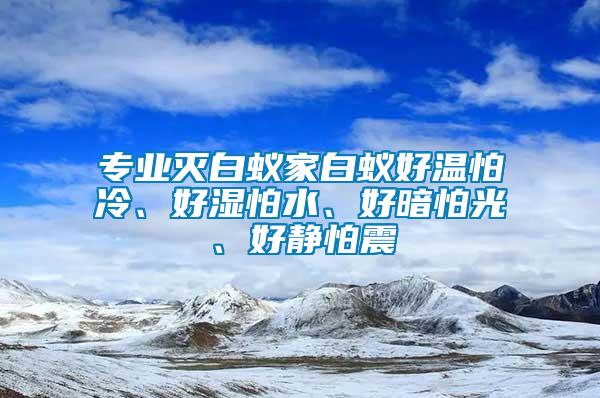 專業(yè)滅白蟻家白蟻好溫怕冷、好濕怕水、好暗怕光、好靜怕震