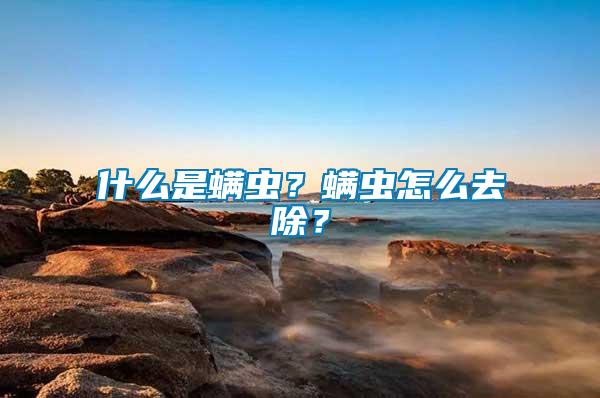 什么是螨蟲？螨蟲怎么去除？