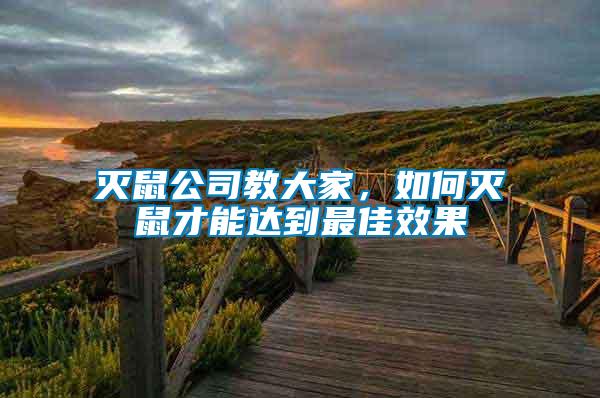 滅鼠公司教大家，如何滅鼠才能達(dá)到最佳效果