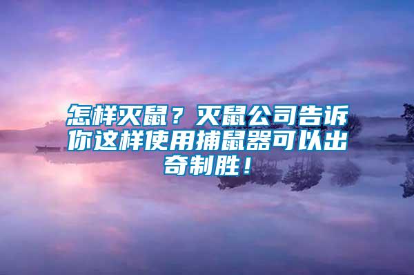 怎樣滅鼠？滅鼠公司告訴你這樣使用捕鼠器可以出奇制勝！