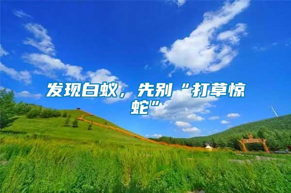 發(fā)現(xiàn)白蟻，先別“打草驚蛇”