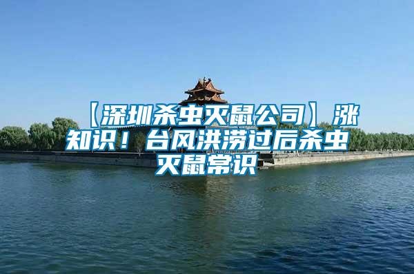 【深圳殺蟲滅鼠公司】漲知識！臺風(fēng)洪澇過后殺蟲滅鼠常識