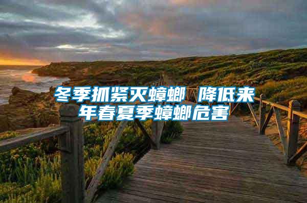 冬季抓緊滅蟑螂 降低來(lái)年春夏季蟑螂危害