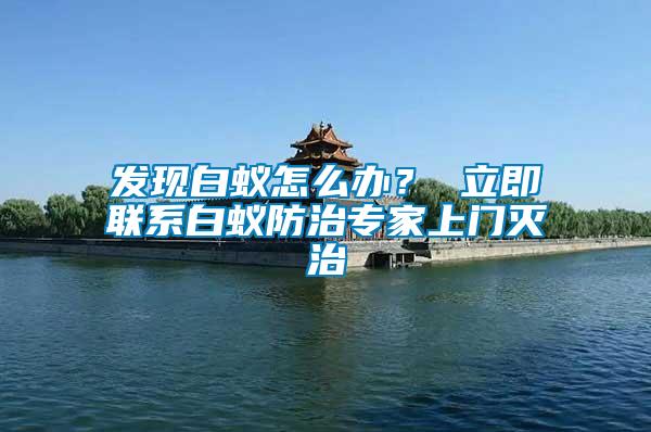 發(fā)現(xiàn)白蟻怎么辦？ 立即聯(lián)系白蟻防治專家上門滅治