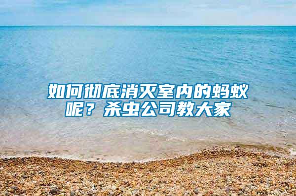 如何徹底消滅室內(nèi)的螞蟻呢？殺蟲公司教大家