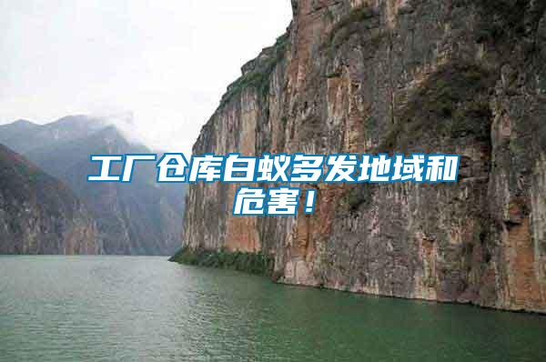 工廠倉庫白蟻多發(fā)地域和危害！