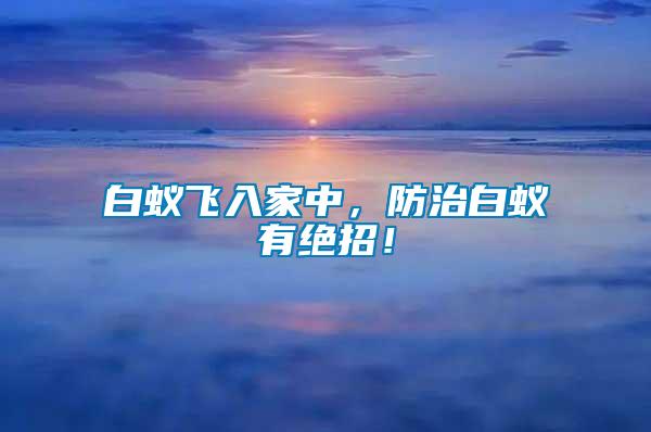 白蟻飛入家中，防治白蟻有絕招！