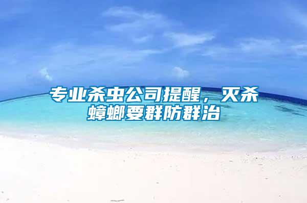 專業(yè)殺蟲公司提醒，滅殺蟑螂要群防群治