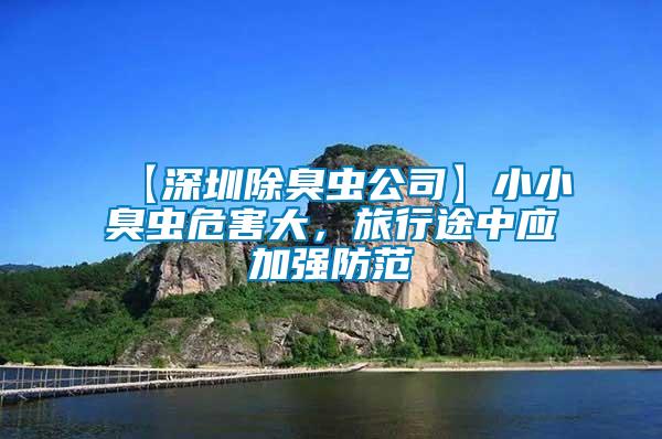 【深圳除臭蟲(chóng)公司】小小臭蟲(chóng)危害大，旅行途中應(yīng)加強(qiáng)防范