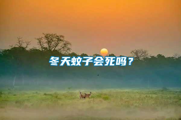冬天蚊子會(huì)死嗎？