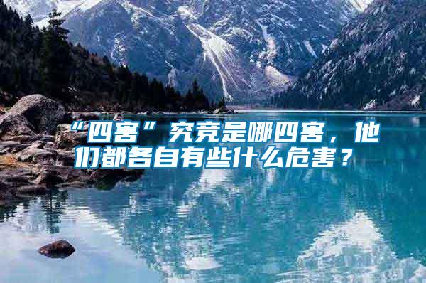 “四害”究競是哪四害，他們都各自有些什么危害？