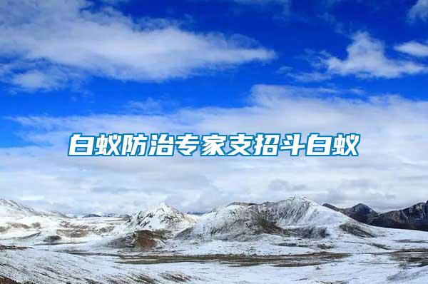 白蟻防治專(zhuān)家支招斗白蟻