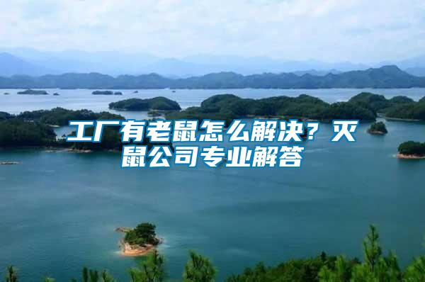 工廠有老鼠怎么解決？滅鼠公司專業(yè)解答