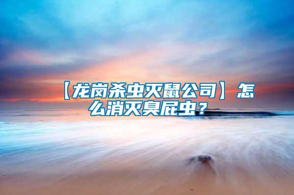 【龍崗殺蟲滅鼠公司】怎么消滅臭屁蟲？