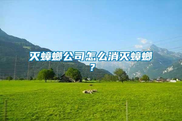滅蟑螂公司怎么消滅蟑螂？