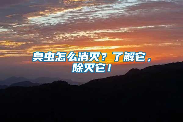 臭蟲(chóng)怎么消滅？了解它，除滅它！