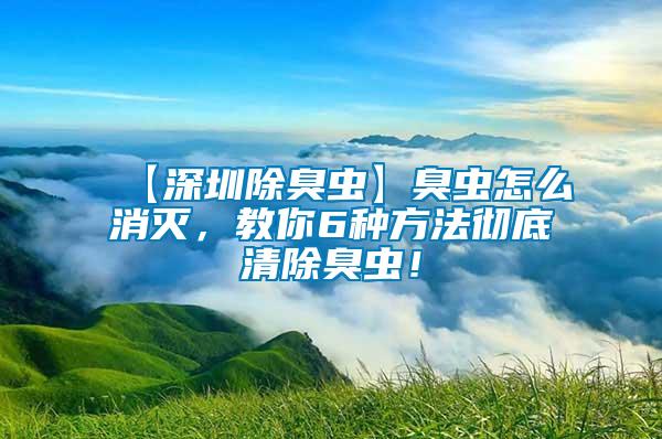 【深圳除臭蟲】臭蟲怎么消滅，教你6種方法徹底清除臭蟲！