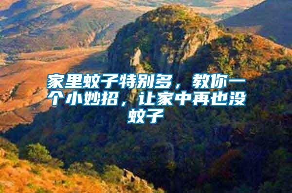 家里蚊子特別多，教你一個小妙招，讓家中再也沒蚊子