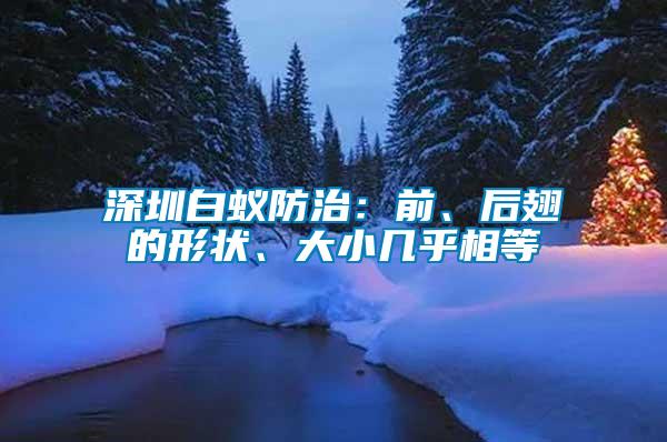 深圳白蟻防治：前、后翅的形狀、大小幾乎相等