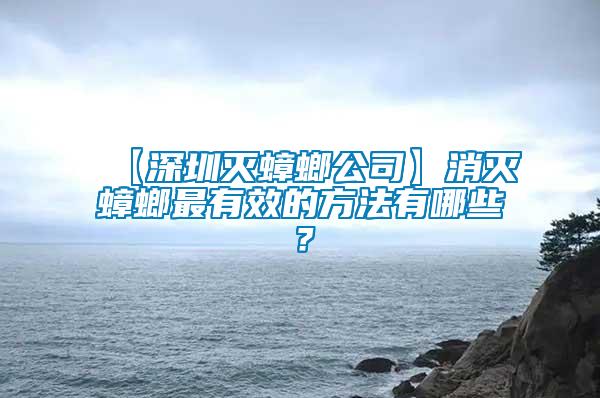 【深圳滅蟑螂公司】消滅蟑螂最有效的方法有哪些？
