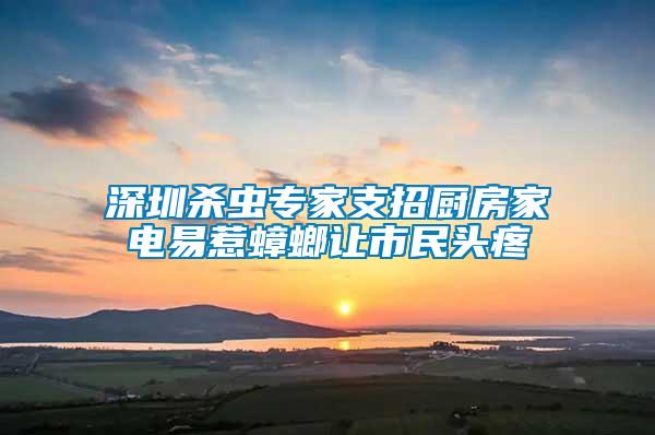 深圳殺蟲(chóng)專(zhuān)家支招廚房家電易惹蟑螂讓市民頭疼