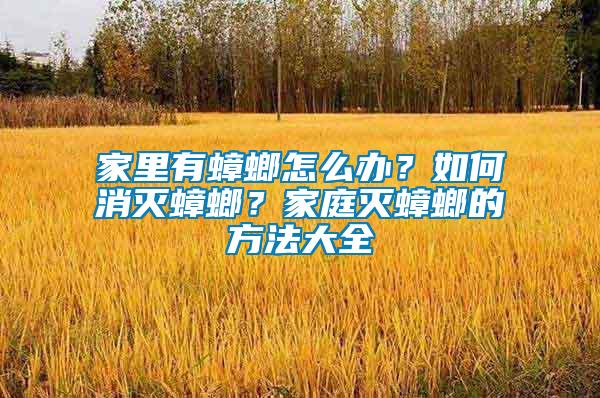 家里有蟑螂怎么辦？如何消滅蟑螂？家庭滅蟑螂的方法大全