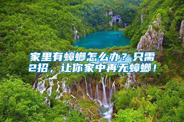 家里有蟑螂怎么辦？只需2招，讓你家中再無蟑螂！