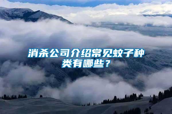 消殺公司介紹常見蚊子種類有哪些？