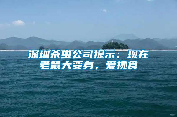 深圳殺蟲公司提示：現(xiàn)在老鼠大變身，愛挑食