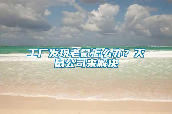 工廠發(fā)現(xiàn)老鼠怎么辦？滅鼠公司來解決