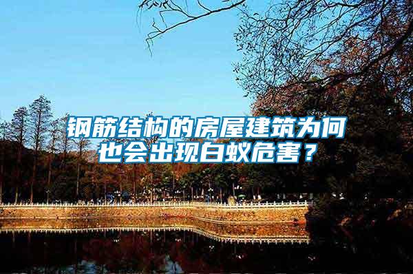 鋼筋結(jié)構(gòu)的房屋建筑為何也會出現(xiàn)白蟻危害？