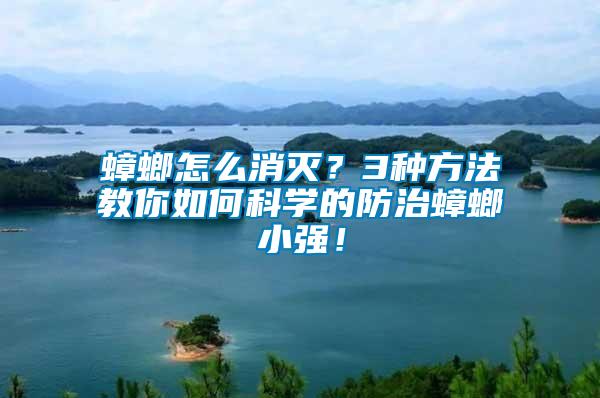 蟑螂怎么消滅？3種方法教你如何科學的防治蟑螂小強！