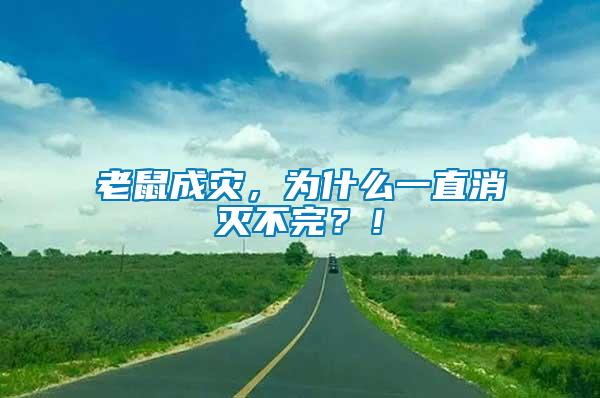 老鼠成災(zāi)，為什么一直消滅不完？！