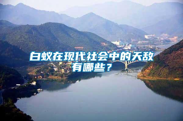 白蟻在現(xiàn)代社會中的天敵有哪些？